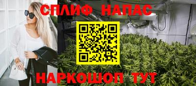 индика Конаково