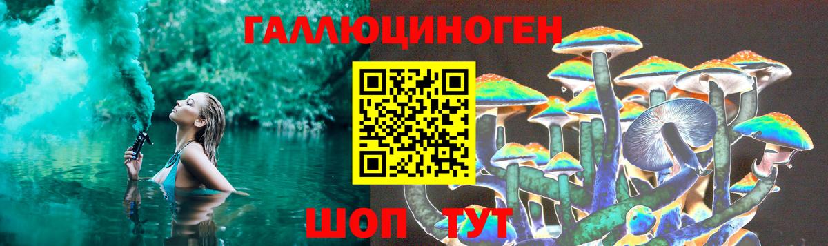 Галлюциногенные грибы Cubensis Усть-Джегута